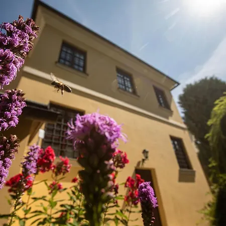 Satlava Apartment Nove Mesto nad Metuji