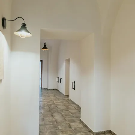 šatlava *