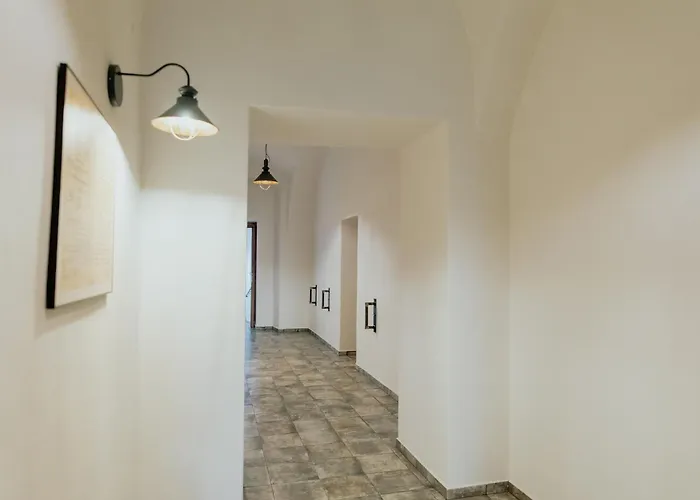 šatlava *